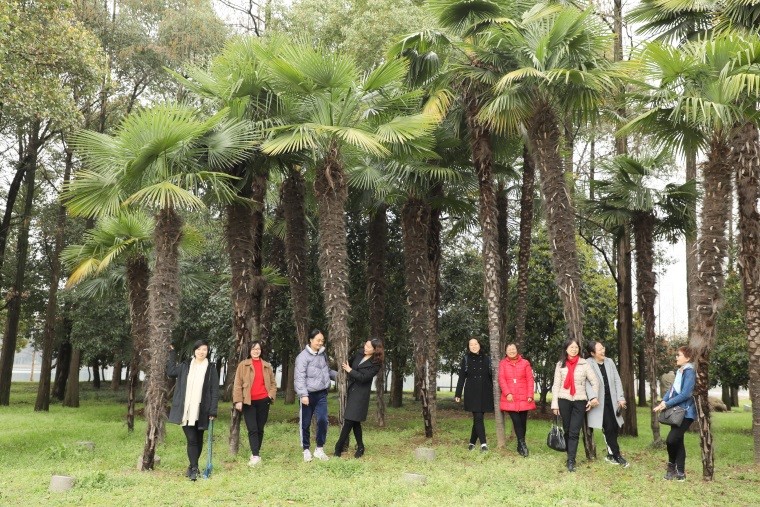 1615601242154139.jpg 1615601242154139.jpg